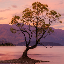 Yoann CHICHE's avatar